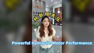Demonstrationsvideo zum Hydraulikmotor